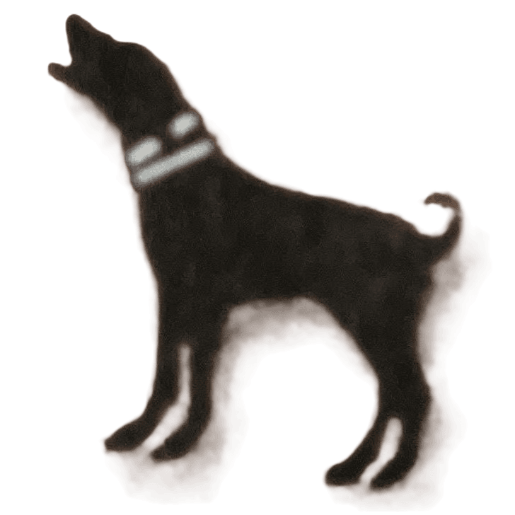 Summit Guiding and Outfitting